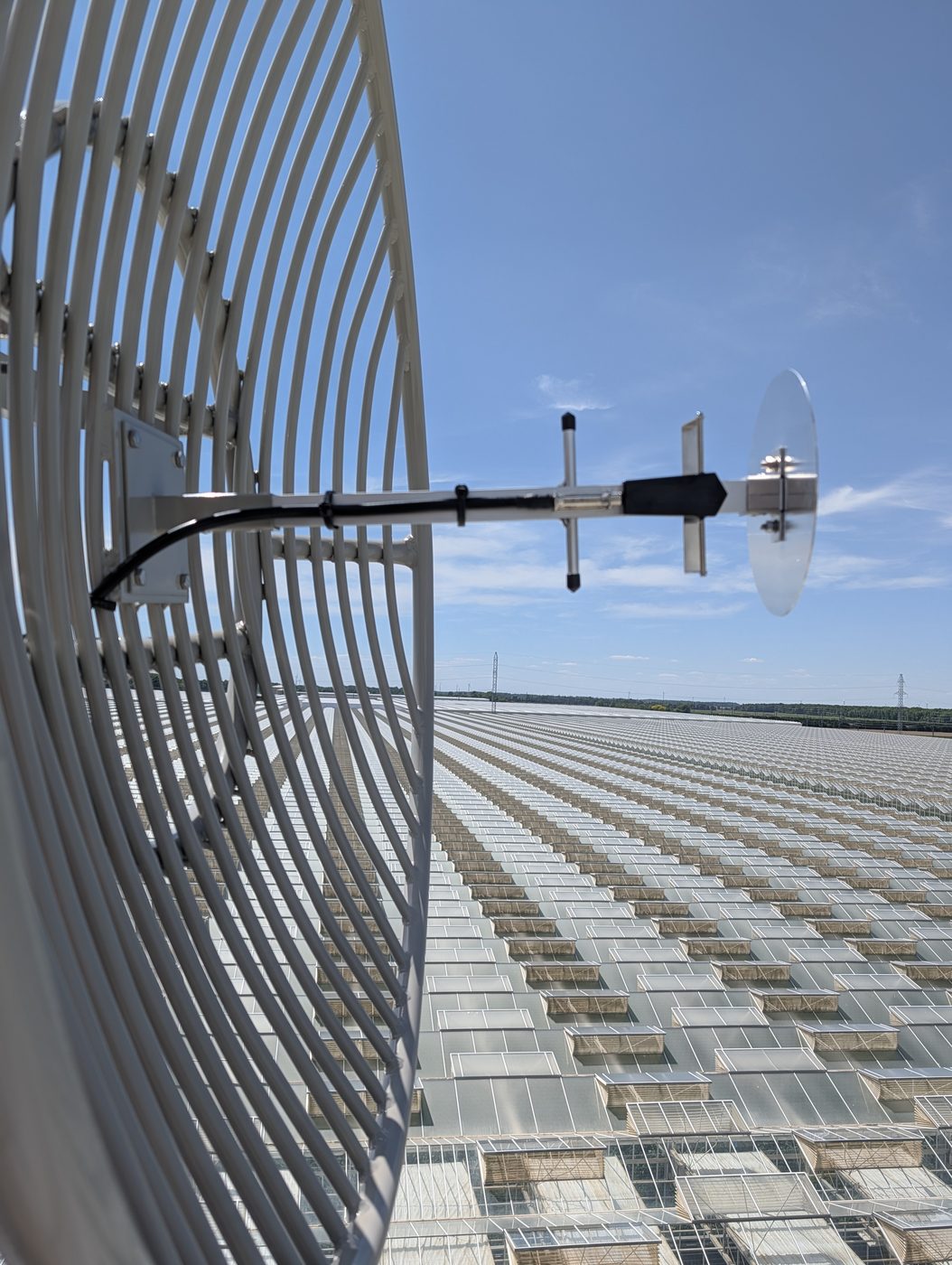 Grid microwave dish aligned over an Ontario solar farm